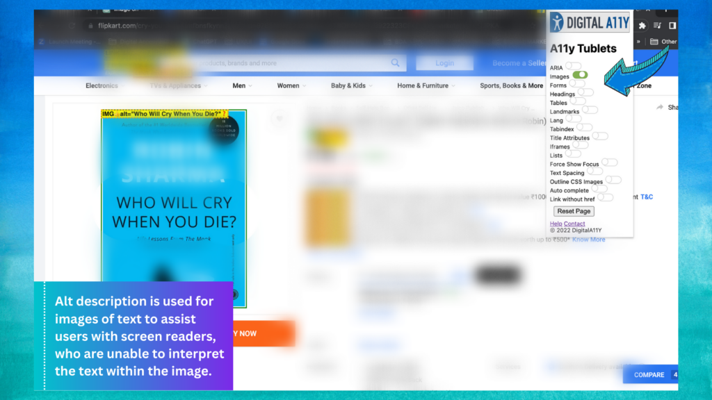 A screenshot illustrating described image of text, enabling access for visually impaired users